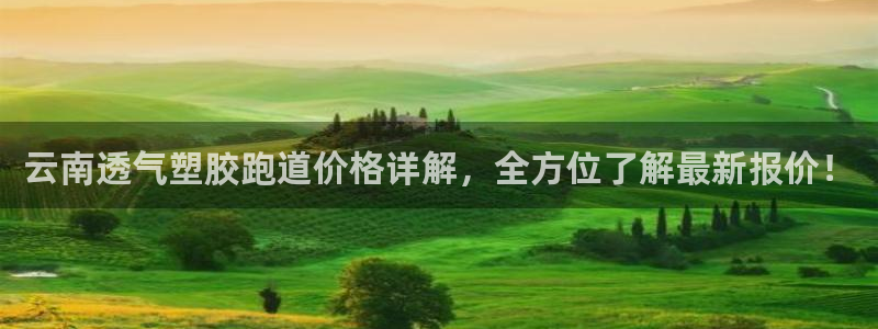 红世一足球比分：云南透气塑胶跑道价格详解，全方位了解最新报价！